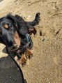 ミラ(Mila) 愛犬の《リク》一緒に出かけるのが大好きです♪
