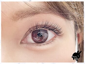 バニーラッシュ(Bunny Lash)/【ボリュームラッシュ】