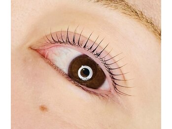 ルクイン 恵比寿 白金(Le Quinn)/立ち上げカール[まつげパーマ]