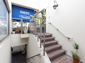 カマロン(Camaron)/外観