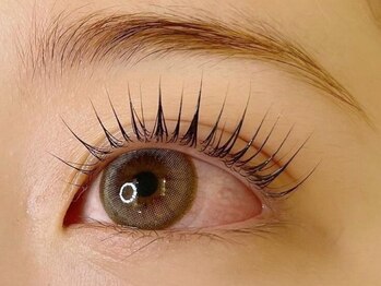 リンク(LINC.)の写真/フラットマットラッシュ/ダブルフラット/つけ放題メニューあり☆パリジェンヌ×フラットラッシュも可能◎