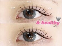 ネリネ 博多(nerine)/アンドヘルシー120本