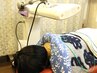 【自律神経の乱れ・ストレス改善！】　鍼灸施術＋骨盤矯正　¥5500
