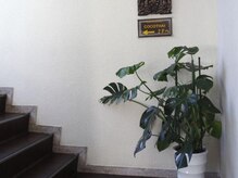 タイリラクゼーション ココタイ(COCOTHAI)/階段をのぼり…