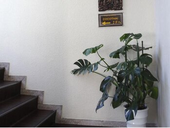 タイリラクゼーション ココタイ(COCOTHAI)/階段をのぼり…