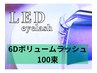 LED 6Dボリュームラッシュ100束　¥7000→¥6500！