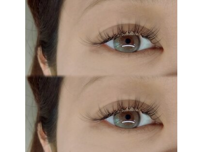 ステイシー(STACEY)の写真