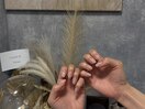 PG005454052