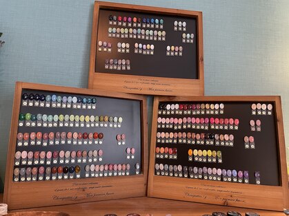 シュシュ(chou chou)の写真