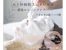 くすみゼロ肌へ♪【ヒト幹細胞フェイシャル】リフトUP×ハリ艶◇＋ヘッドスパ