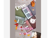 プリティアイ(pretty eye)/下まつげも、カラー揃えてます