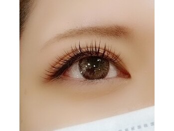 ボントン(BONTON)/フラットラッシュ140本