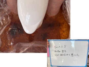ヘルシースリム ともと/びっくり！めっちゃ出た！
