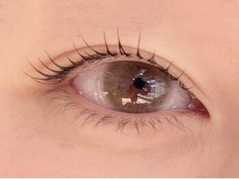 イアラ(era.)/次世代まつ毛パーマ