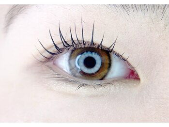 ポコ(POCCO)/パリジェンヌラッシュリフト