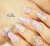 タイニーツリー(Tiny Tree)