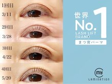 フロートータルビューティ(flow TOTAL BEAUTY)/マイラミネーション