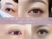 まつげエクステ専門店 ヴィーナスラッシュ 六本木店(Venus Lash)