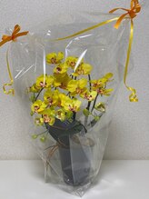 フットメンテ 巻き爪矯正センター 南浦和/胡蝶蘭