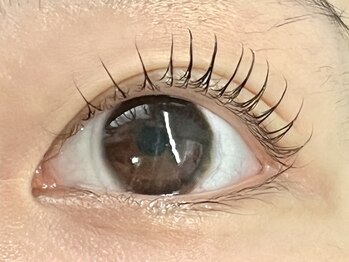 サロングレイス(Salon Grace)/ドルフィンピンク