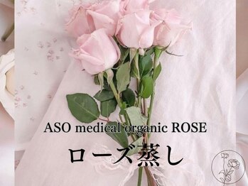 レナンセラ バイ カトレアグループ(Renanthera by カトレアGroup)