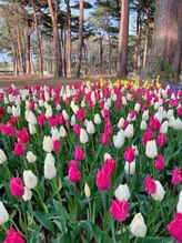 リノ&nbsp;ラン RAN