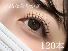 レカロ 札幌大通店(RECARO)/フラットセーブル120本（両目）