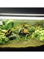 セラピア 大村店(SeraPia) 【昔やってたアクアリウム】水槽や水草見るとムズムズしてくる