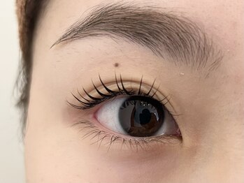 アリビオ(Alivio)/