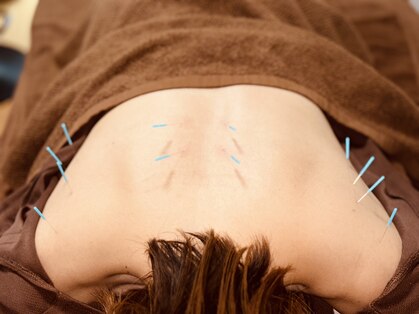 ヴォラーレ 所沢駅店(Volare)の写真