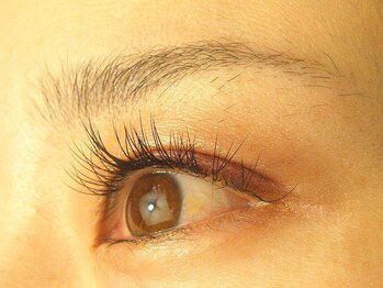 アンジェリーク ANGELIQUE/自由自在に目元を彩る！！