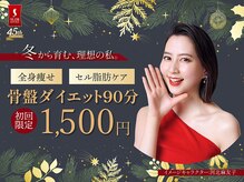 スリムビューティハウス 川崎店