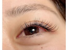 ロンド(Rond)/最高級セーブル120本