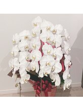 エアリー(Airy)/◇営業時間◇