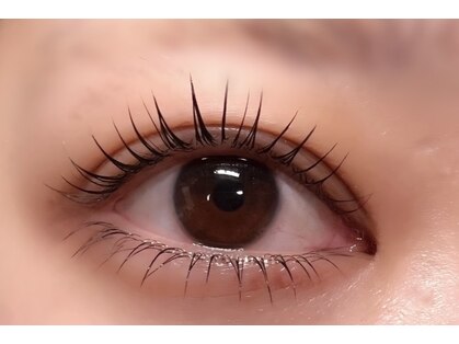クルーアイラッシュ(crew eyelash)の写真