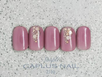 キャプラスネイル ミートトゥリー 中津川(CAPLUSNAIL meettree)/■シンプルプラン■ 2510