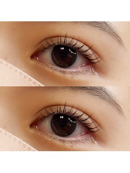 オルネ(orne.)/LEDフラットラッシュ160本