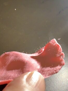 ミカ ネスト(Mika Nest)/ワックス脱毛