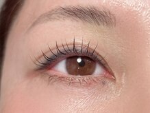 ネリネ(Nerine)/パリジェンヌラッシュリフト