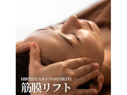 エヴァーグレース 宇都宮店の写真