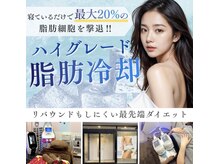 ラフィールの雰囲気（ハイグレード EMS脂肪冷却 (50%off)4カップ体験出来る希少サロン）