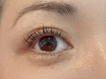 ネリネ(Nerine)/パリジェンヌラッシュリフト