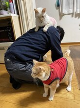 まるほぐし&nbsp;丸岡 啓吾