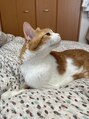 グレースフィオーレ 自由が丘店(gracefiore) 猫が大好きです。2匹飼っています！