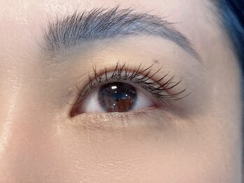 ネリネ(Nerine)/フラットマットラッシュ