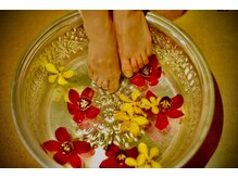 シックスツリー(Six tree)