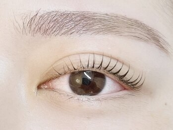 レレガンス(LELEGANCE)/眉迷子診断