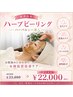 【肌質ケア】ハーバルシー導入！ホームケア＆アフター付き￥33000→￥22000