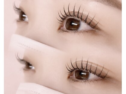 モコハ(mocoha)の写真