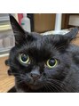 エステティックサロン ドゥネール&nbsp;子供の頃から猫好きです。